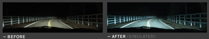 Nokya Cosmic White 5000K Stage 2 Halogen Bulb H1 80W