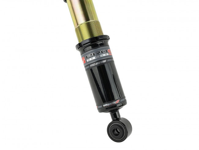 Skunk2 Pro-ST Coilovers 2017–2021 Honda Civic Si