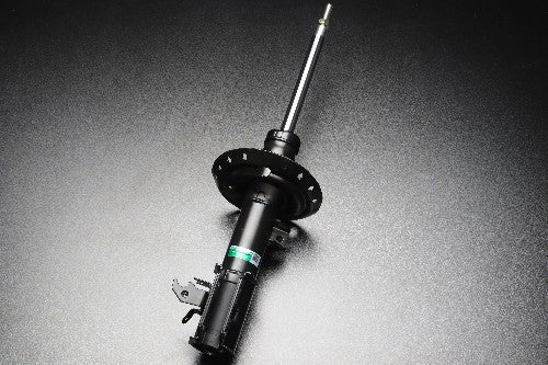 Tein Endurapro Basic 2013-2017 Honda Accord / 2015-2020 Acura TLX (front pair)