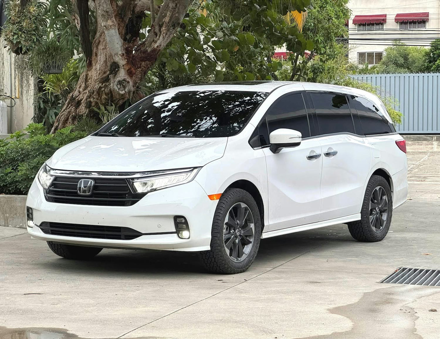 Traxda Leveling Kit 2018-2025 Honda Odyssey - 1.5" Rear