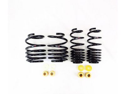 RS-R Down Sus Springs 2023-2024 Honda Civic Type R (FL5)