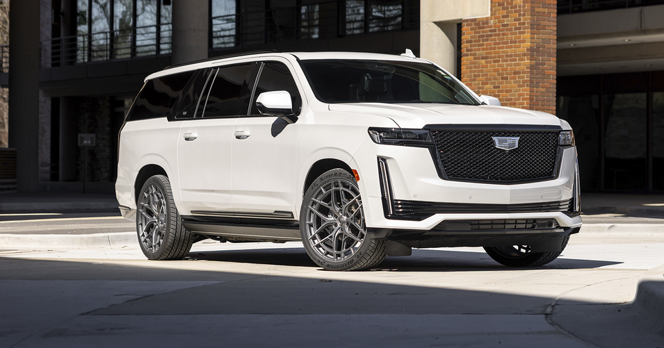 24x10 Niche NC284 Adria Platinum w Brushed Face