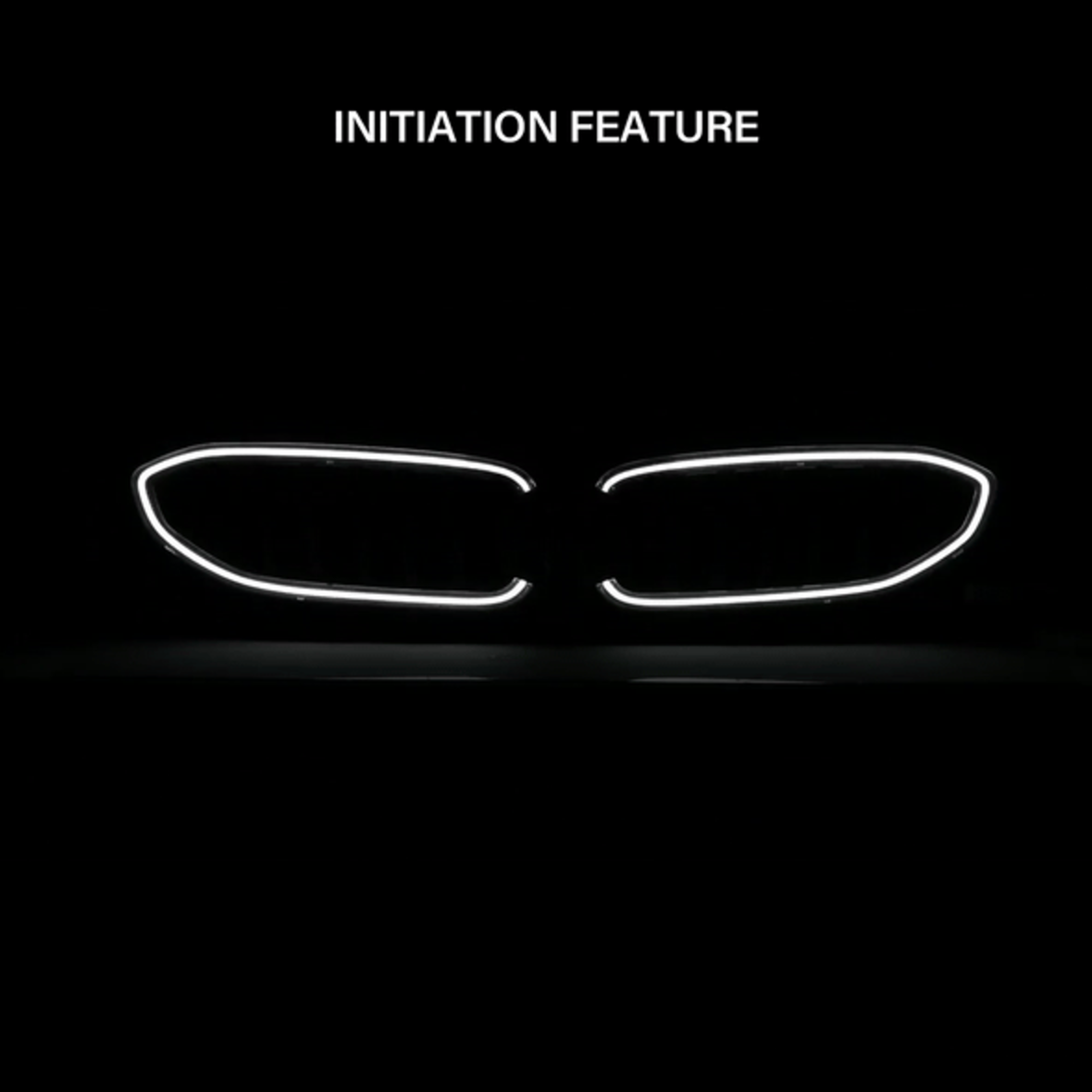 2019-2022 BMW 3 Series Nexum Series Black LED Grille W/ Ignition Initiation Feature & Running Light Bar