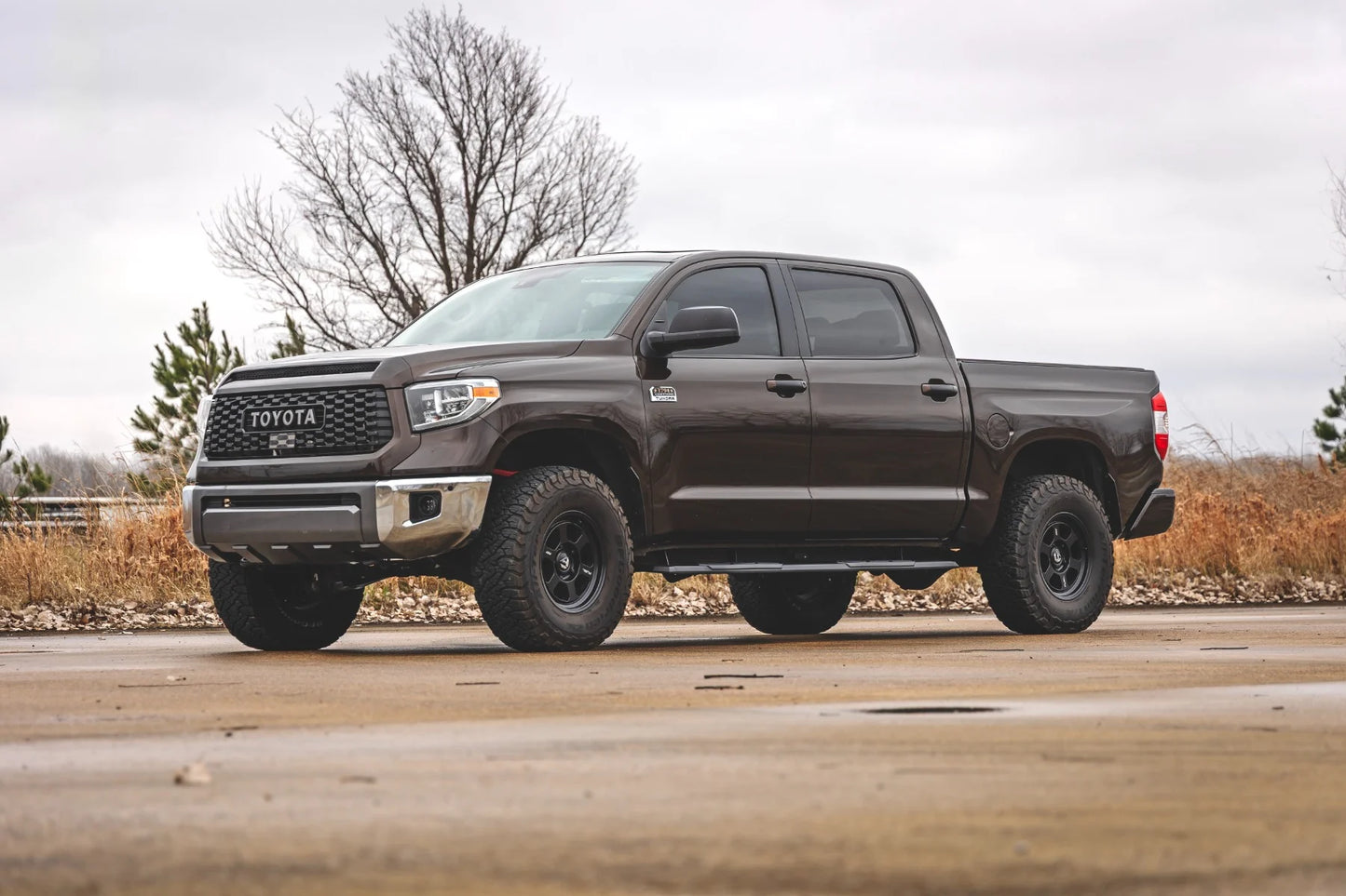 Rough Country TR2 Running Boards 2007-2021 Toyota Tundra CrewMax 2WD/4WD