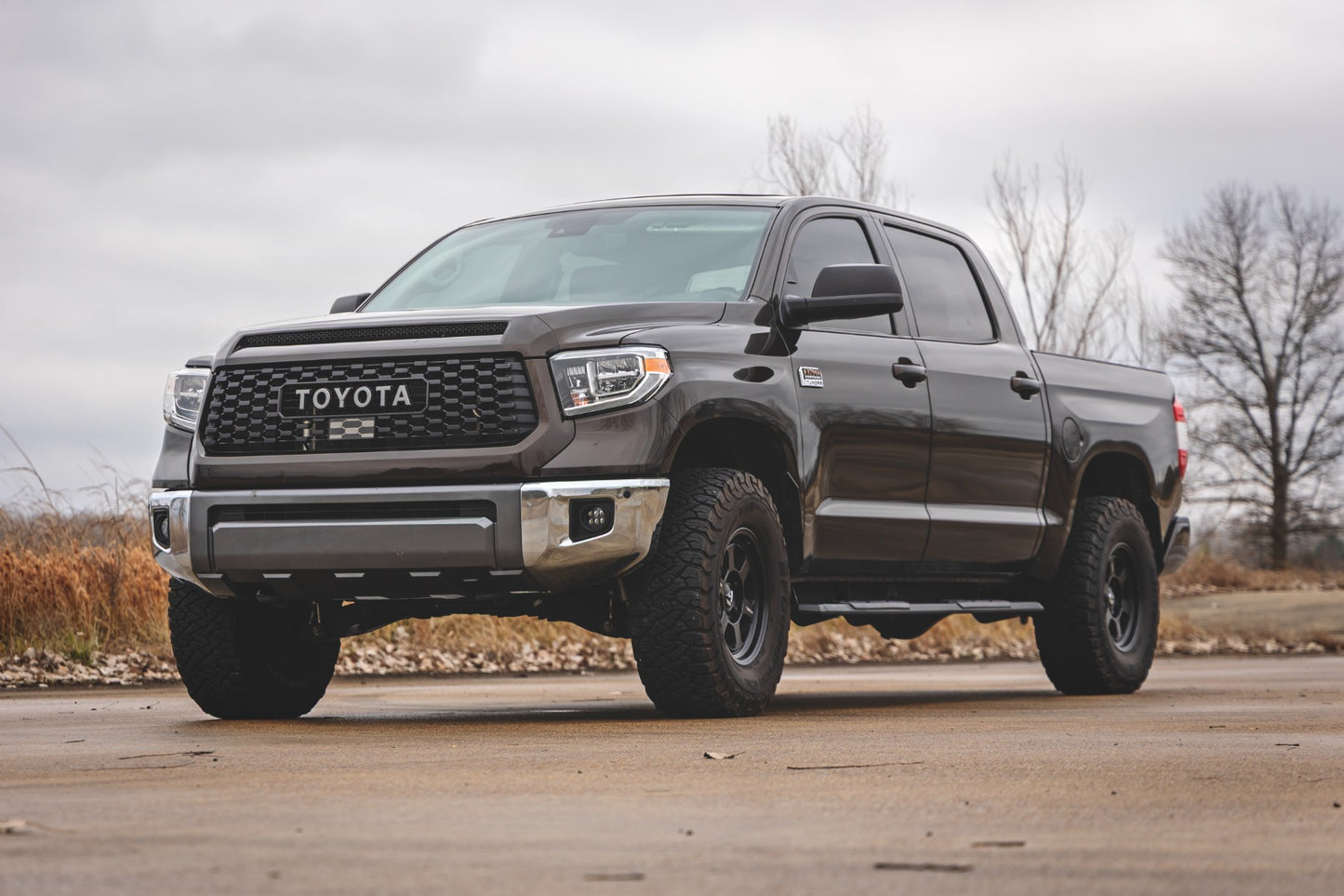 Rough Country TR2 Running Boards 2007-2021 Toyota Tundra CrewMax 2WD/4WD