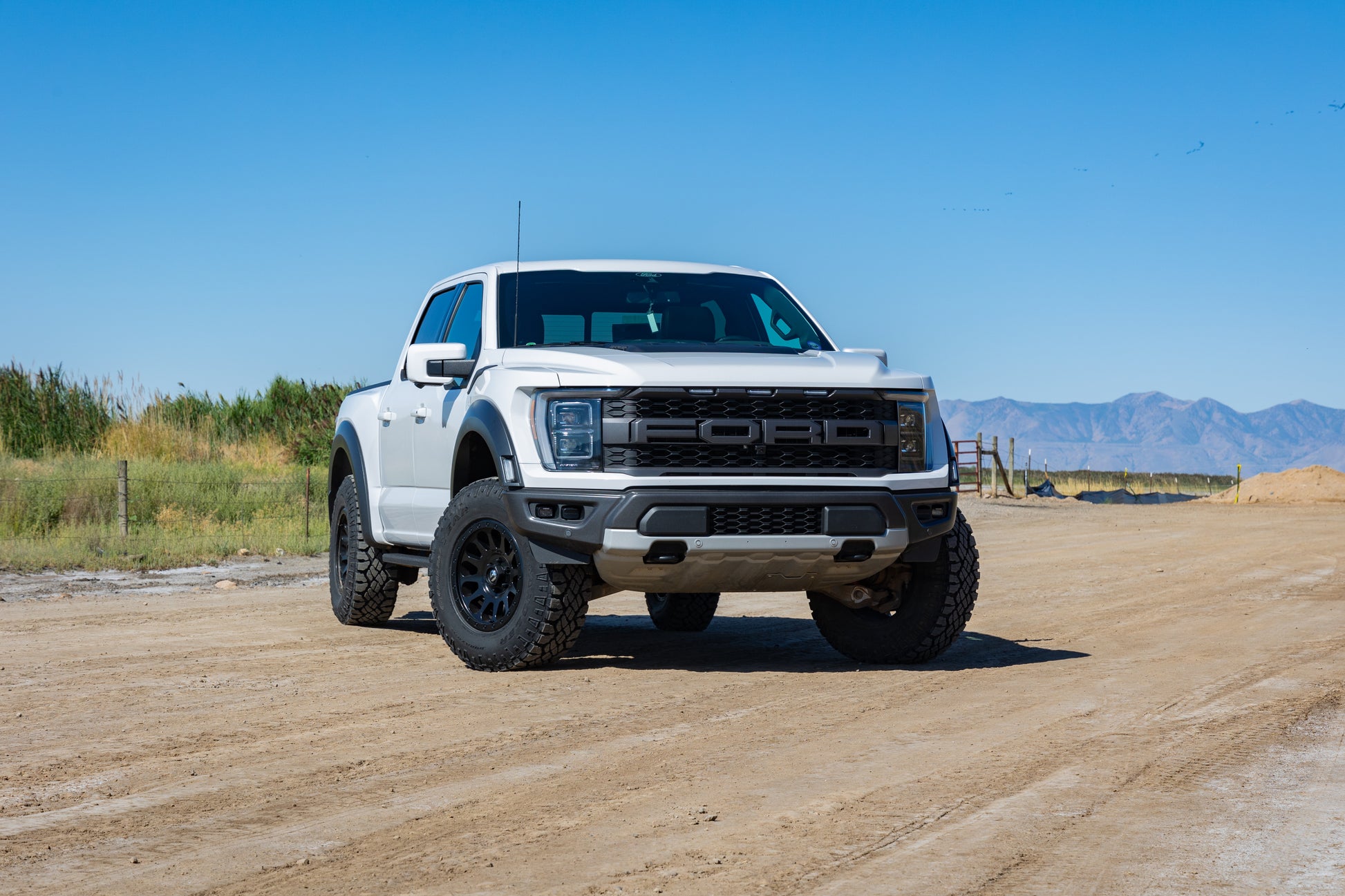 ReadyLift 2021-2024 Ford Raptor 1.5
