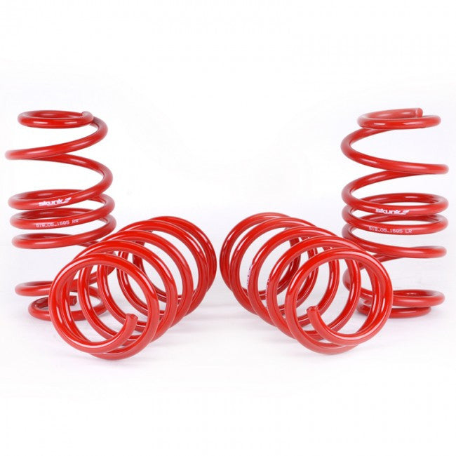 Skunk2 Lowering Springs 2012-2015 Honda Civic (Si)