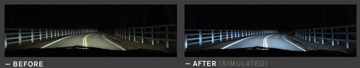 Nokya DOT Super White 3800K Stage 1 Halogen Bulb 9003 / H4 / HB2 60/55W