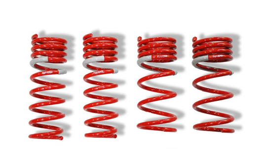 Tanabe NF210 Spring Kit 2014 Nissan Versa Note