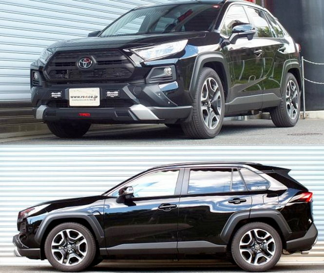 RS-R Down Sus Springs 2019-2024 Toyota RAV4 (AWD)