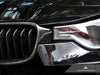 AutoTecknic Replacement Carbon Fiber Front Grilles BMW F30 Sedan / F31 Wagon | 3 Series