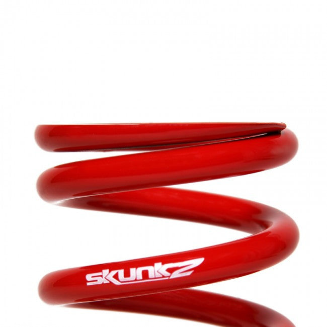 Skunk2 Pro-S II Coilovers 2002-2004 Acura RSX (all)