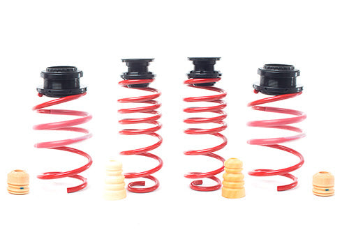 H&R Suspension VTF Adjustable Lowering Springs 2019-2025 Volkswagen Jetta / 2015-2020 Golf R